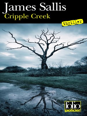 cover image of Les enquêtes de John Turner (Tome 2)--Cripple creek
